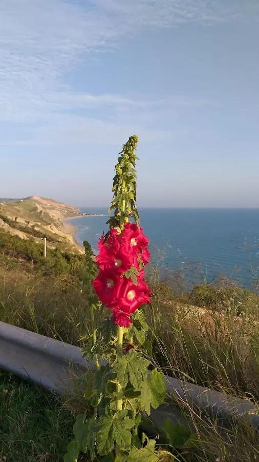 Villa Alfonso Con Vista Mare Siculiana Marina Włochy